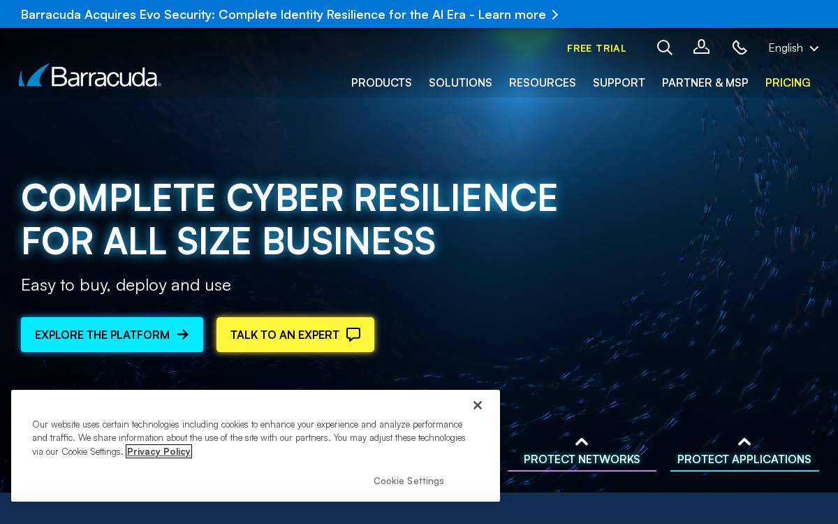Barracuda website preview