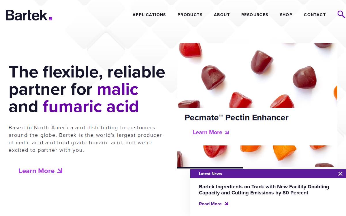 Bartek website preview