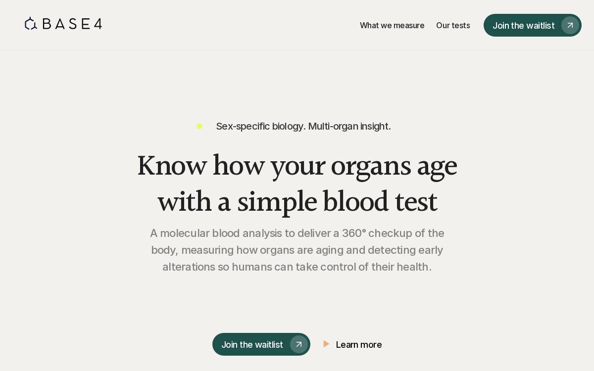Base4 website preview