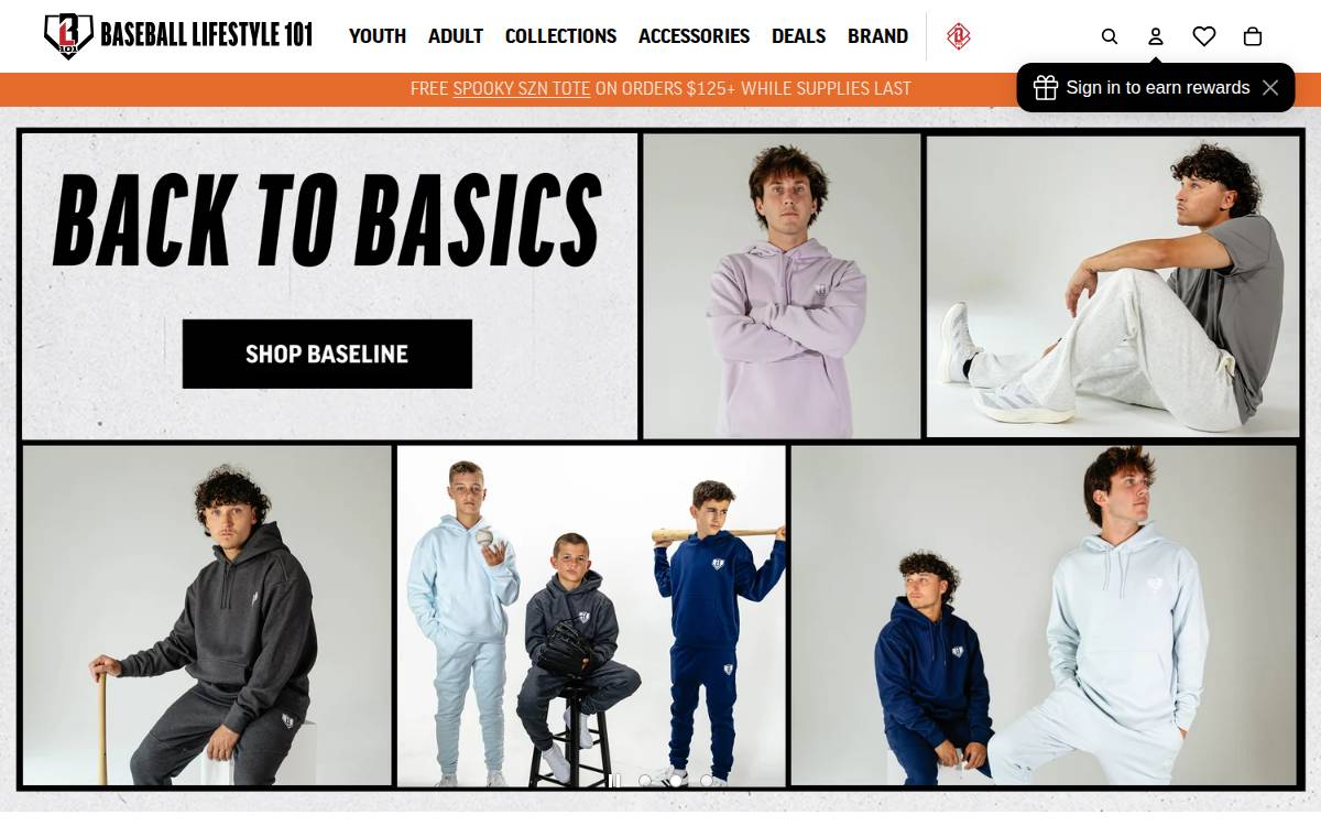 Baseball Lifestyle 101 website preview