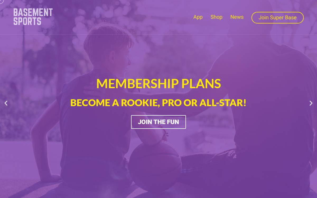 Basement Sports website preview