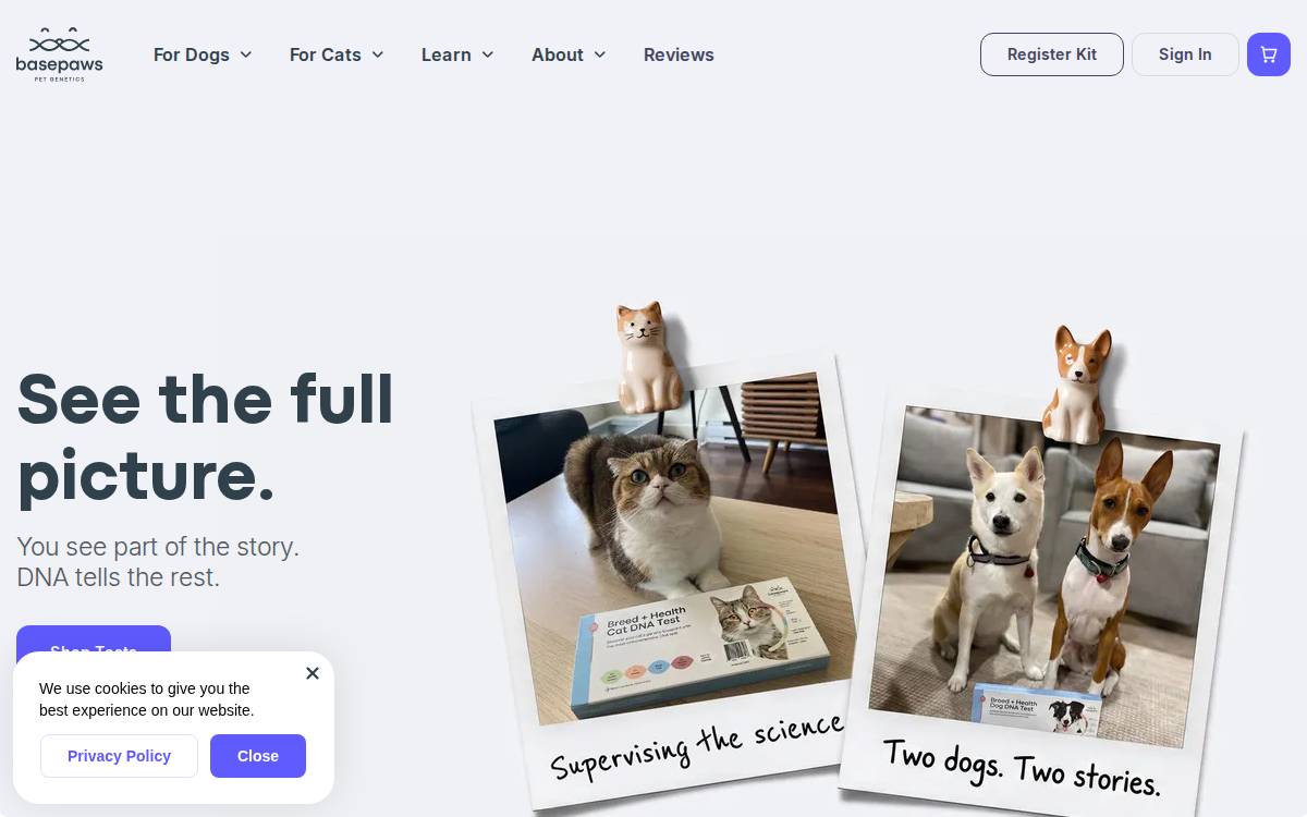 Basepaws website preview