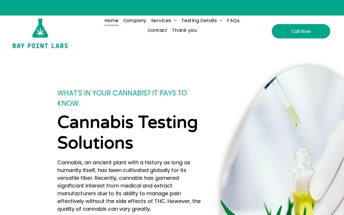 Bay Point Laboratories website preview