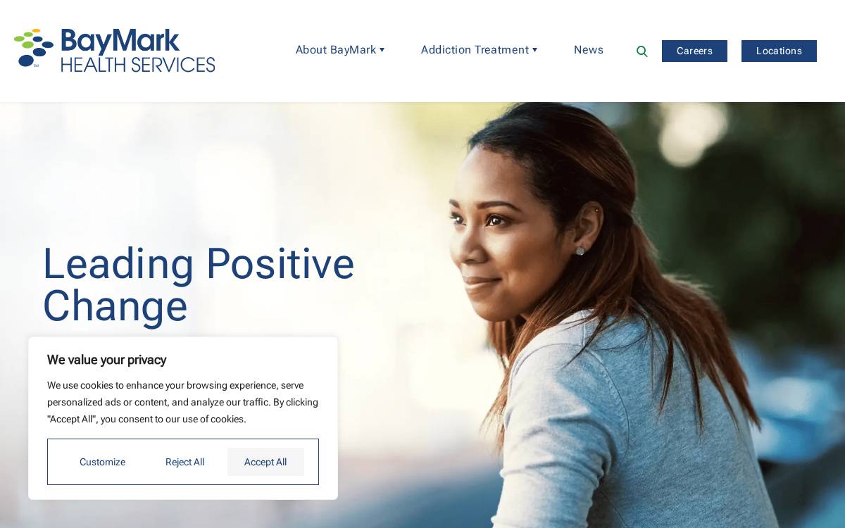 Baymark website preview