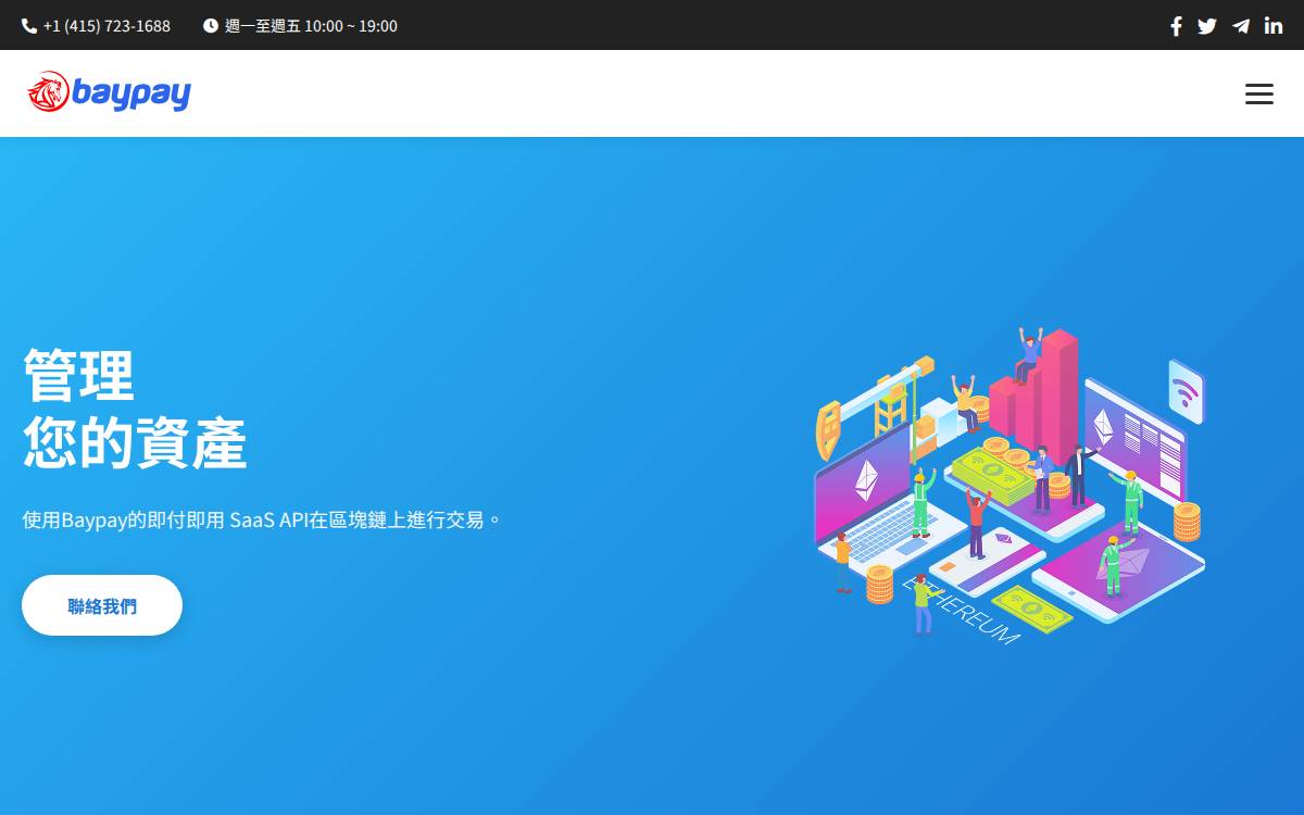 Baypay website preview