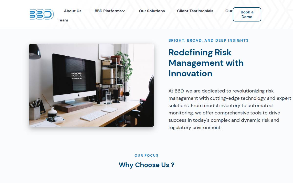 Bbdinsights website preview