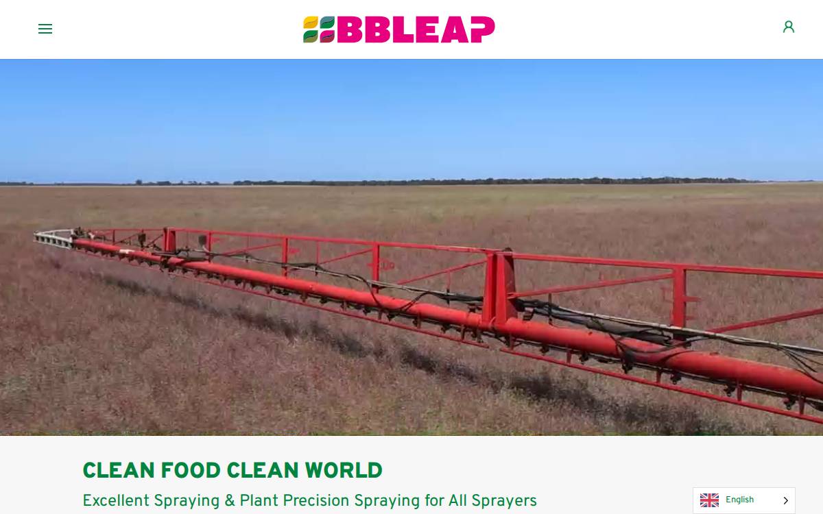 BB Leap website preview