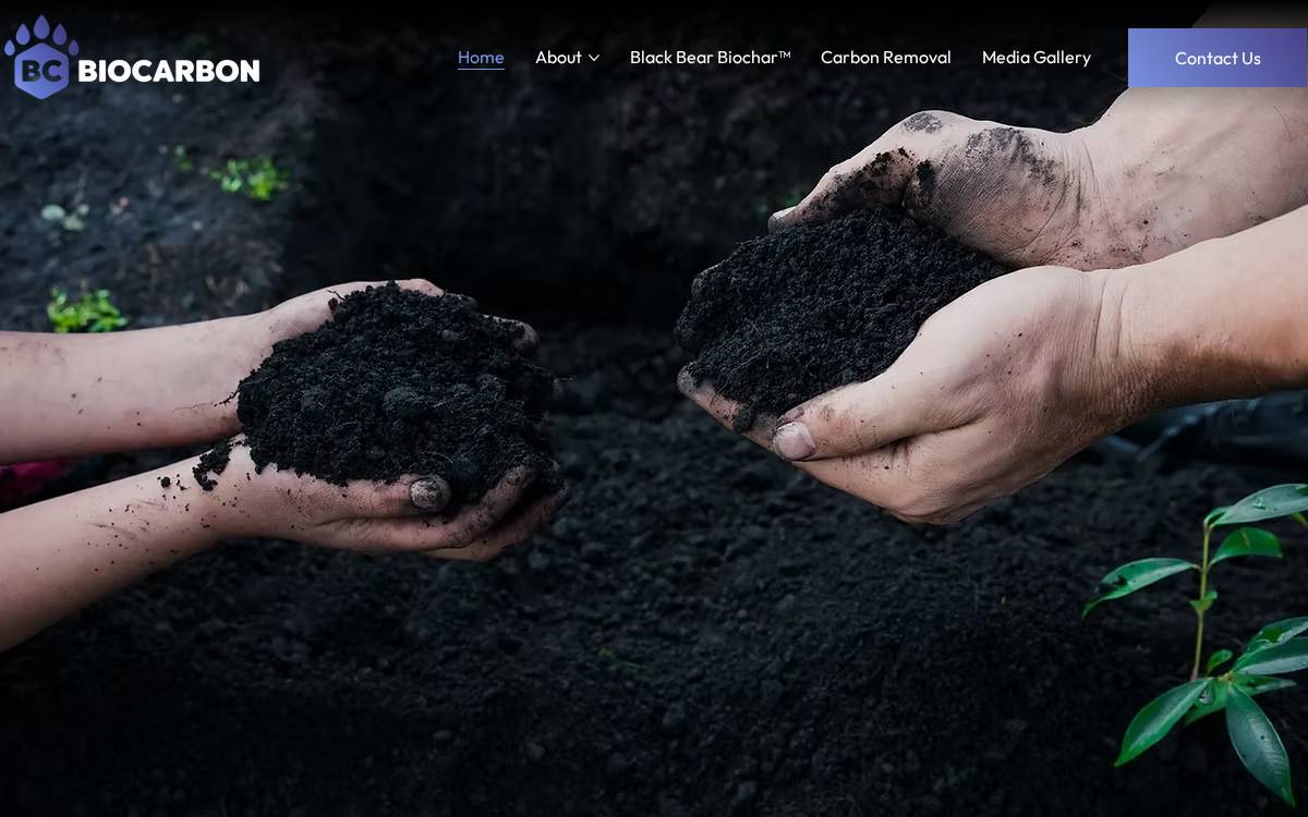 BC Biocarbon website preview