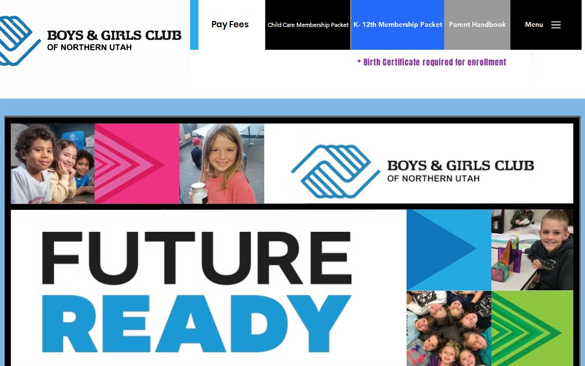 Bcbrclub website preview