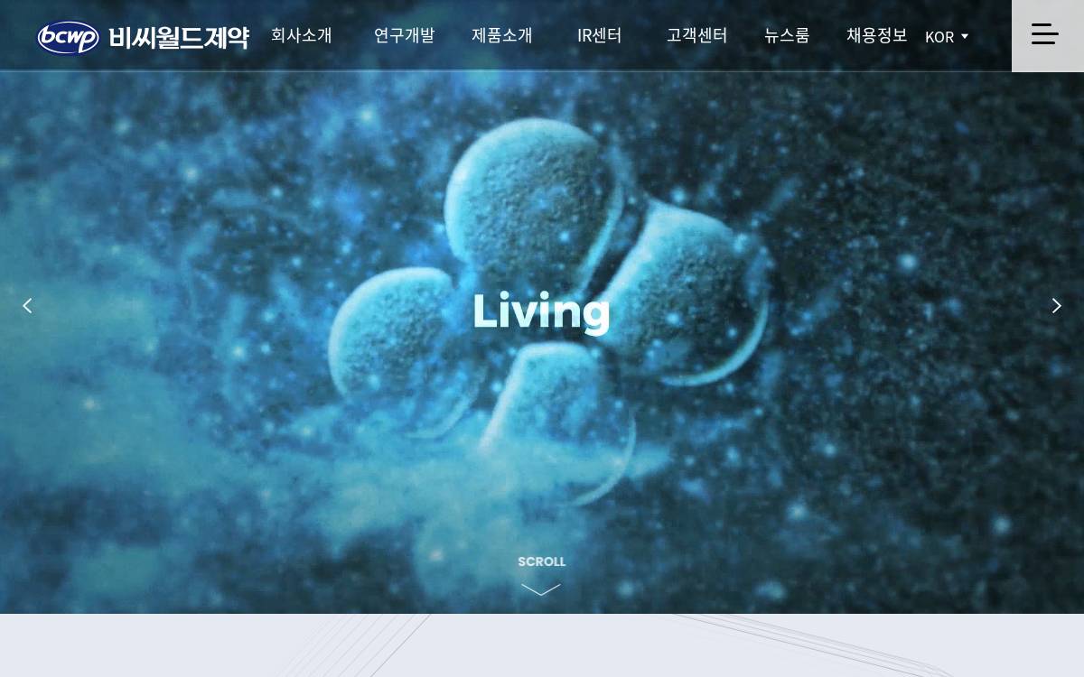 Bcwp website preview