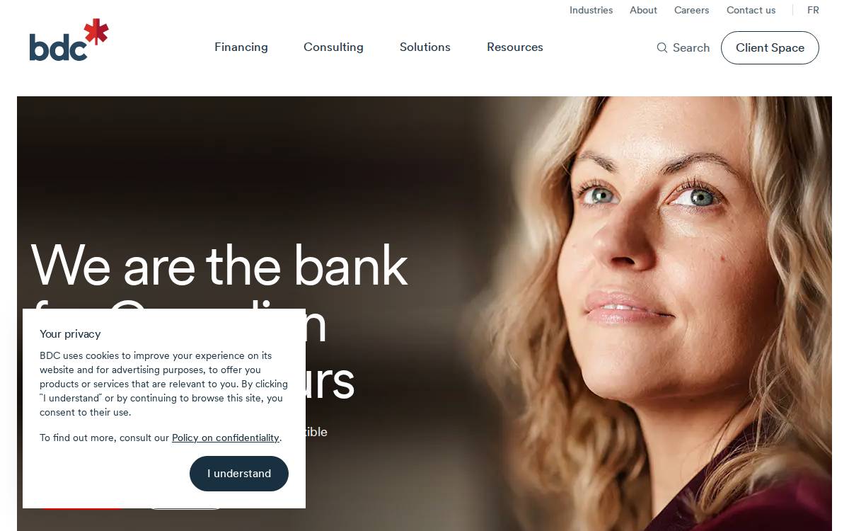 BDC Capital website preview