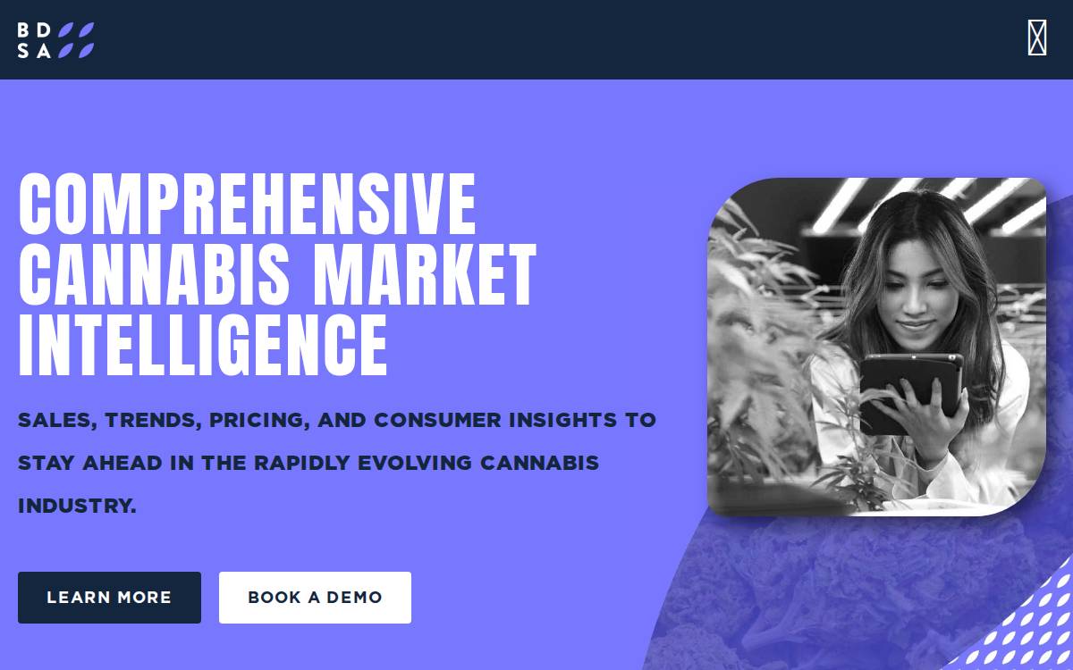 BDS Analytics website preview