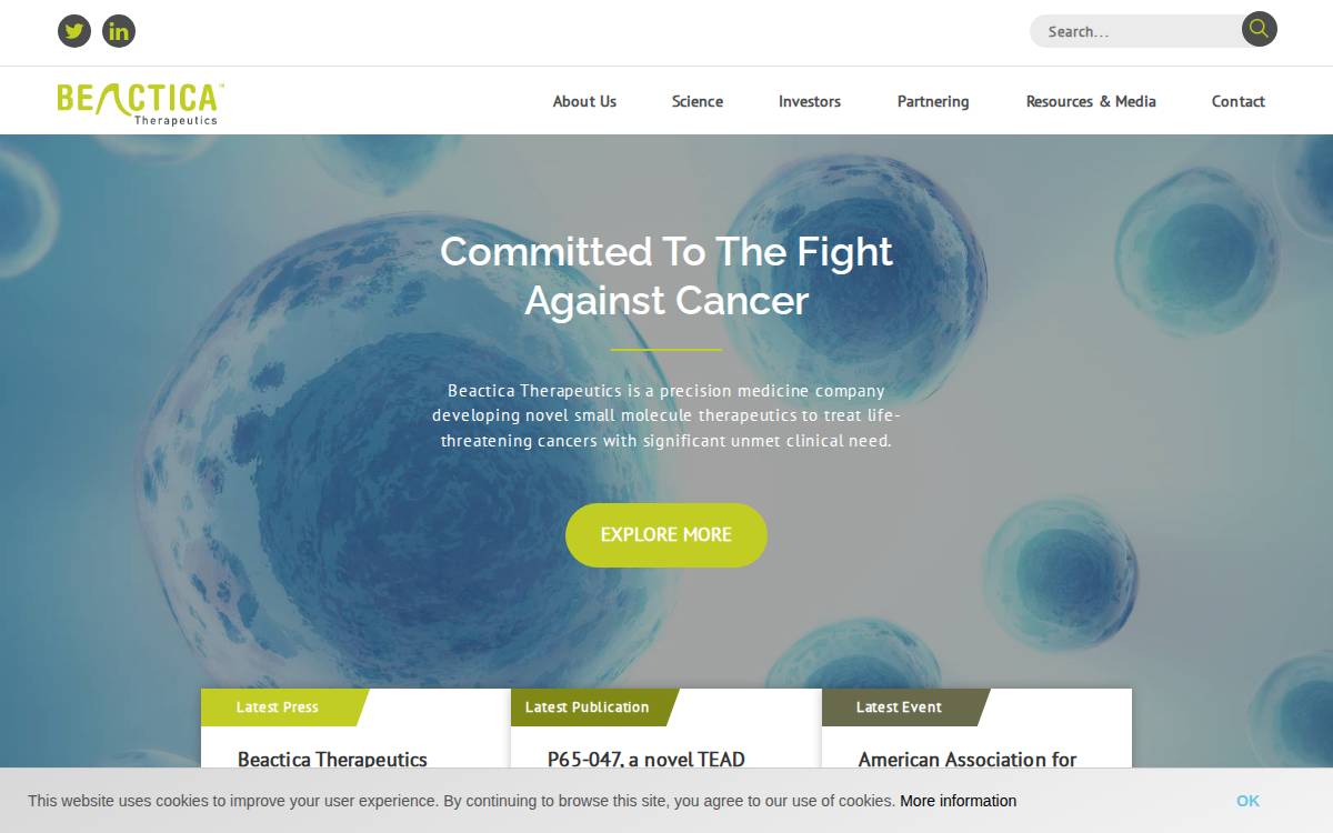Beactica website preview