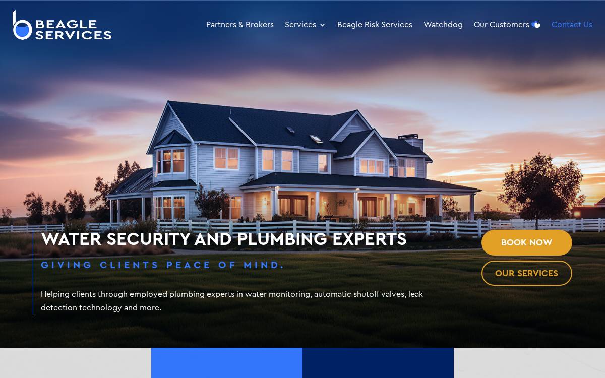Beagle Services website preview