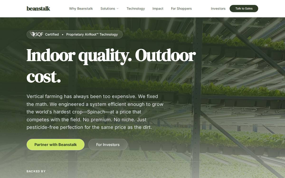 Beanstalk website preview