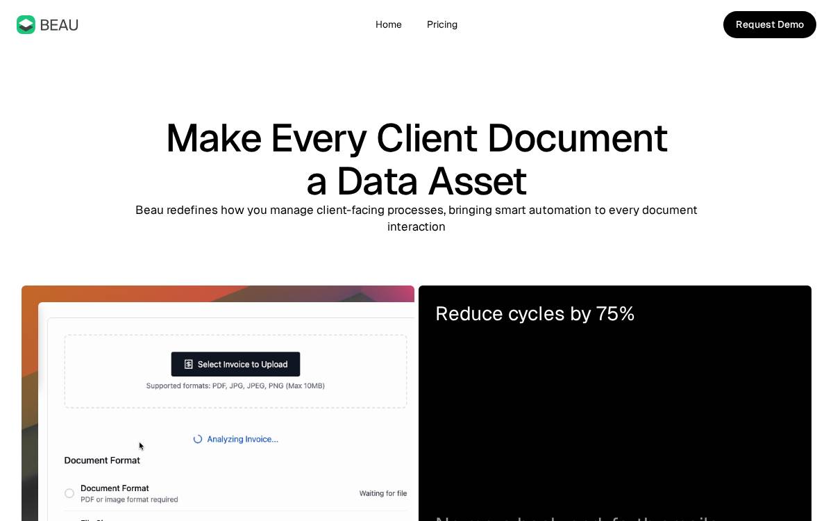 Beau website preview