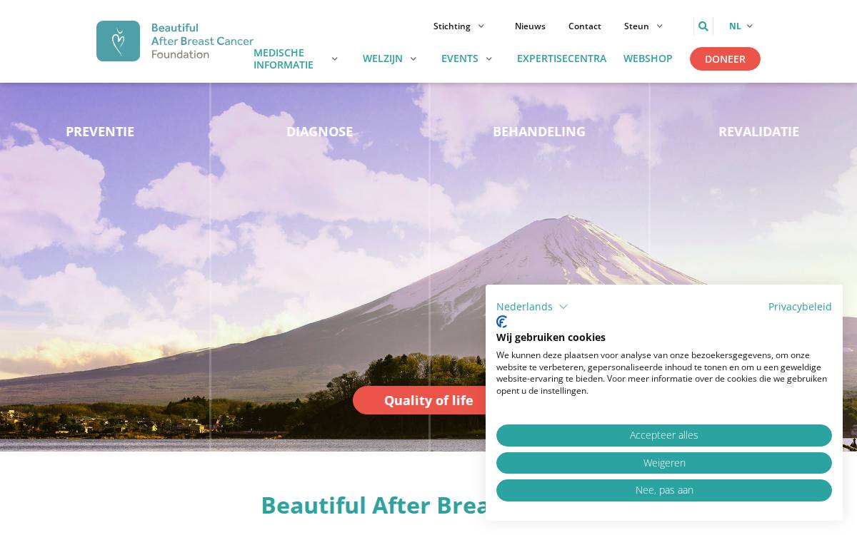 Beautifulabc website preview