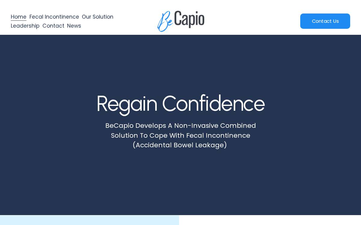 Becapio website preview