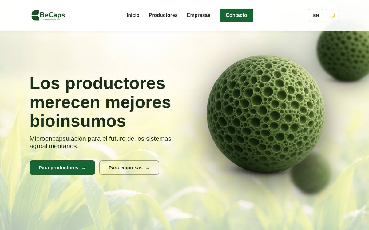 Becaps website preview
