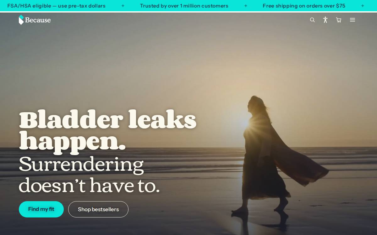 Because website preview