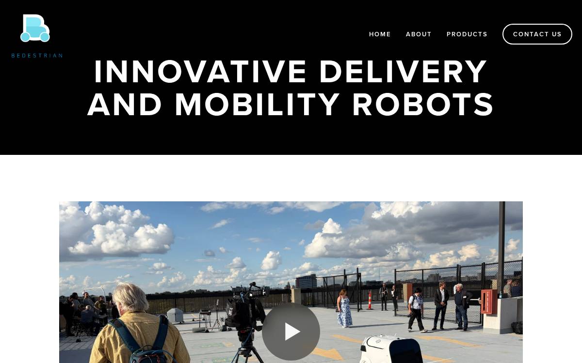 Bedestrian website preview
