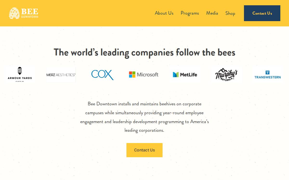 Bee Downtown website preview