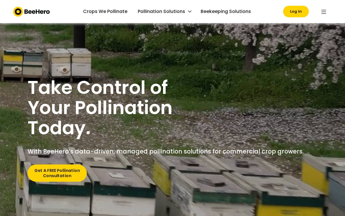 Bee Hero website preview