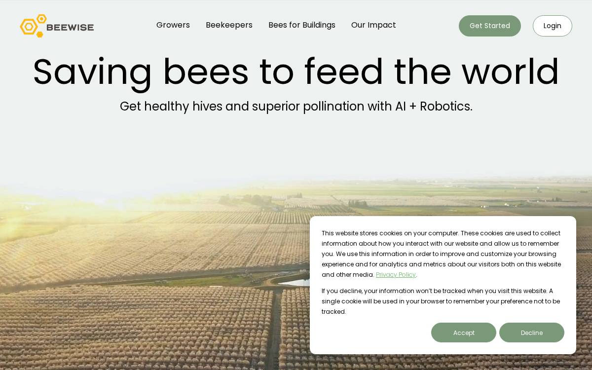 Beewise website preview