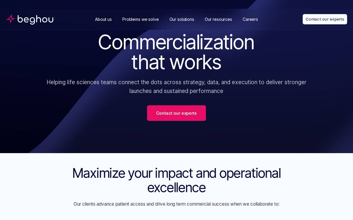 Beghou website preview