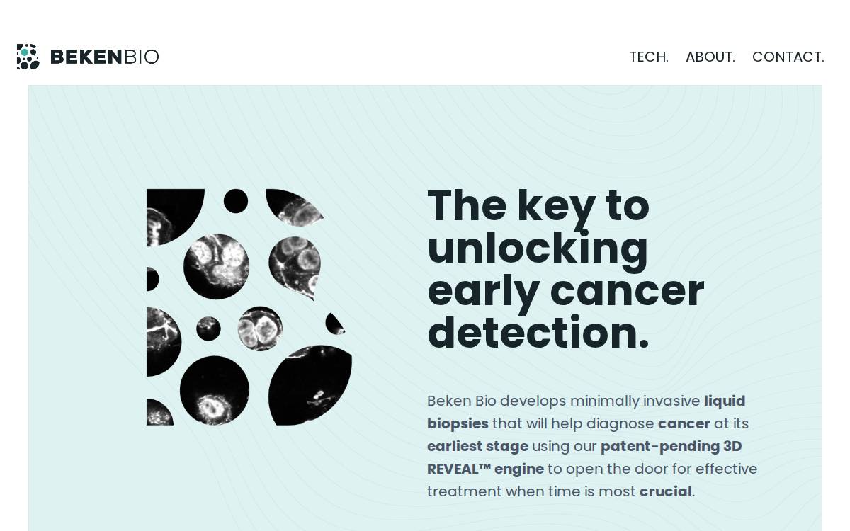 Beken website preview