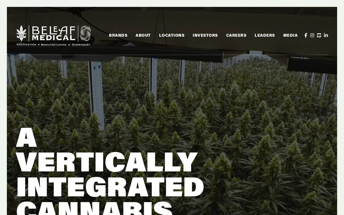 BeLeaf Medical website preview