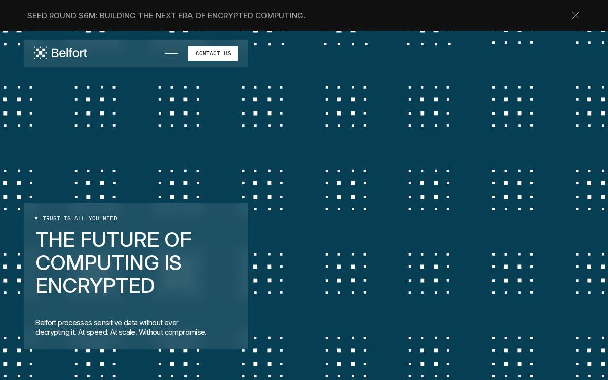 Belfort website preview