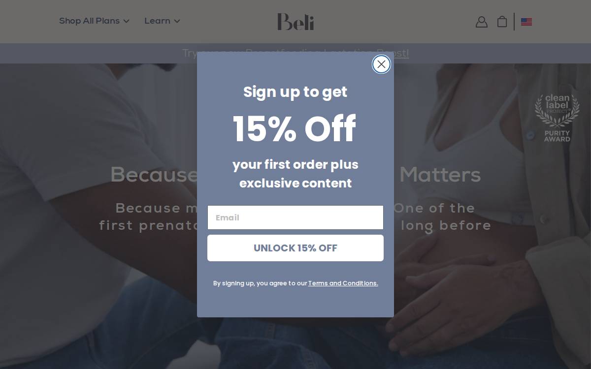 BELI website preview
