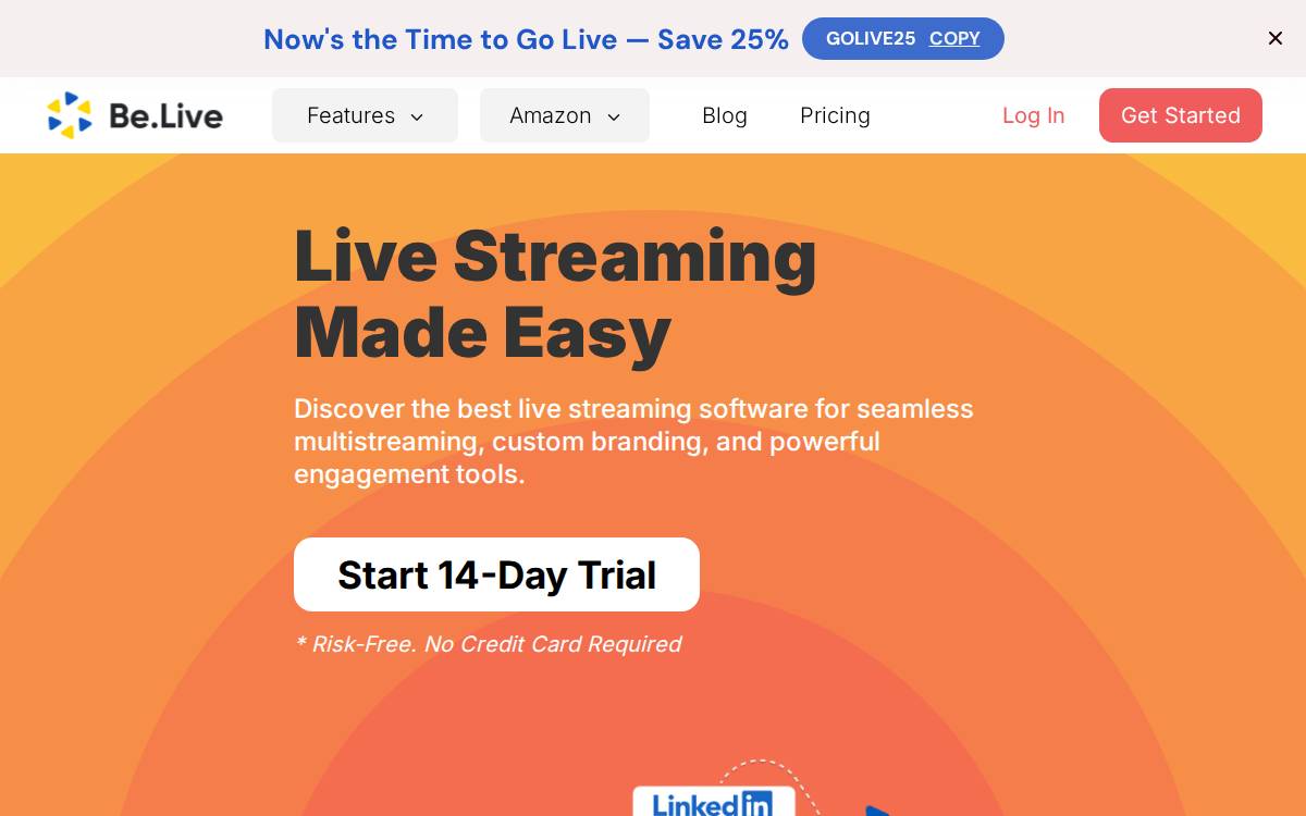 Belive website preview