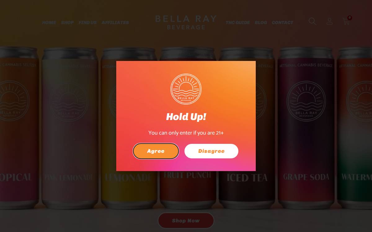 Bella Ray Beverage website preview