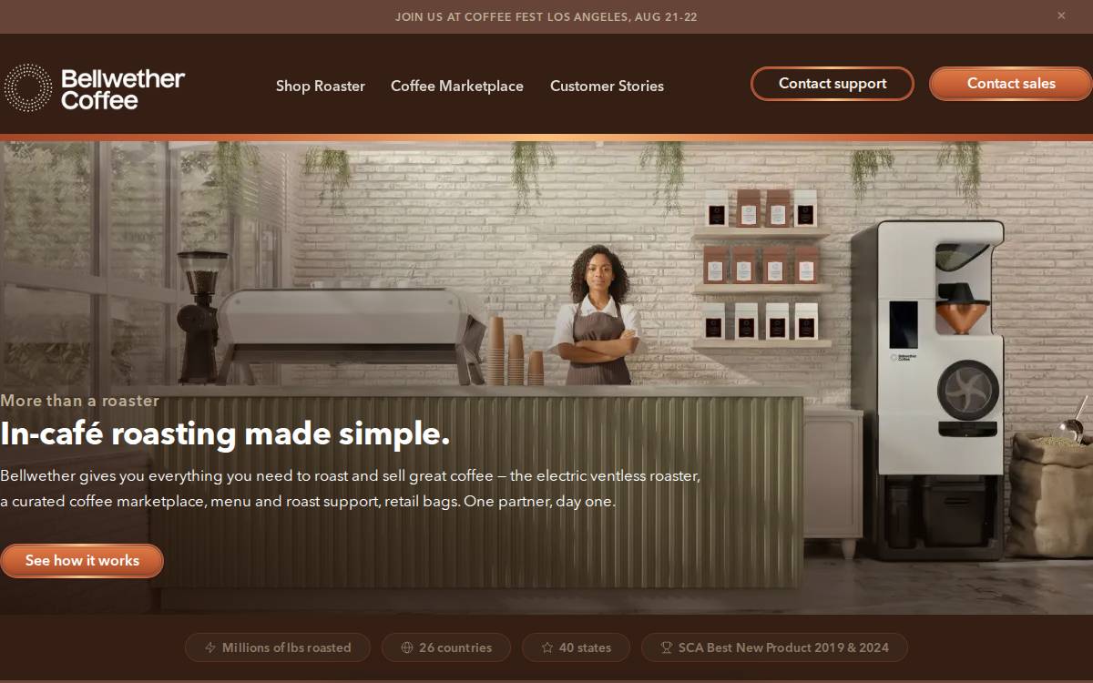 Bellwether website preview