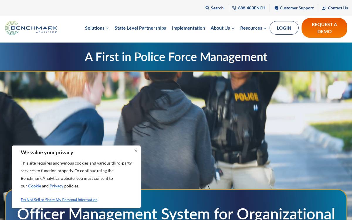 Benchmark website preview