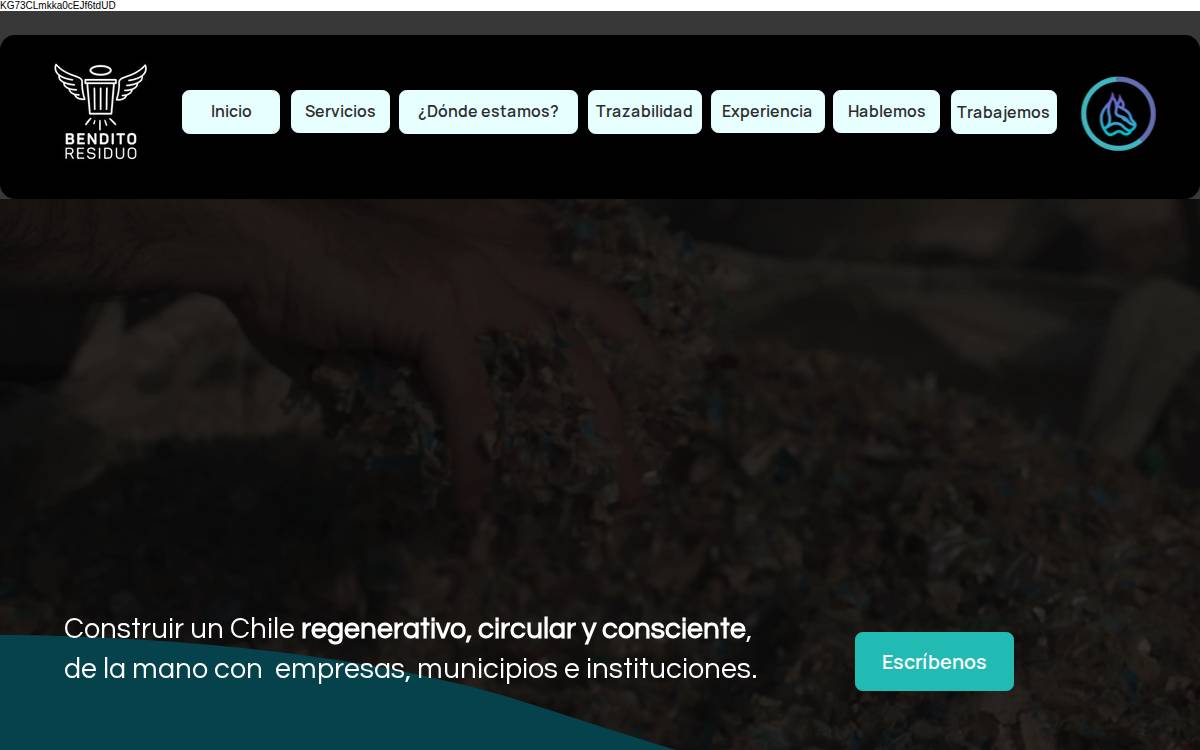 Bendito Residuo website preview