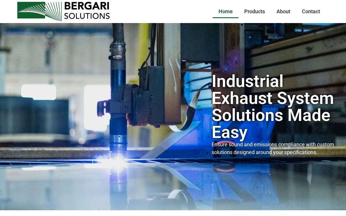 Bergari website preview