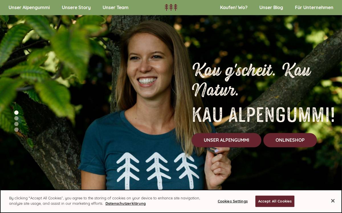 Bergfalke GmbH website preview
