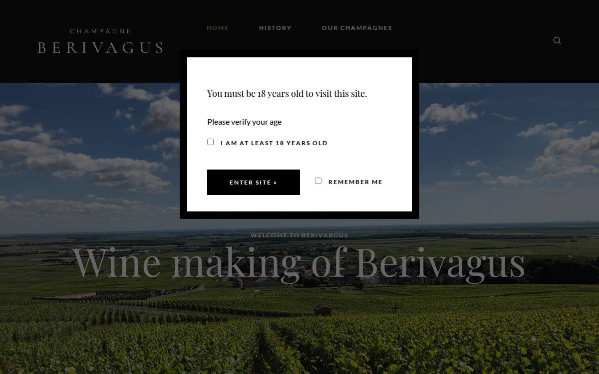 Berivagus website preview