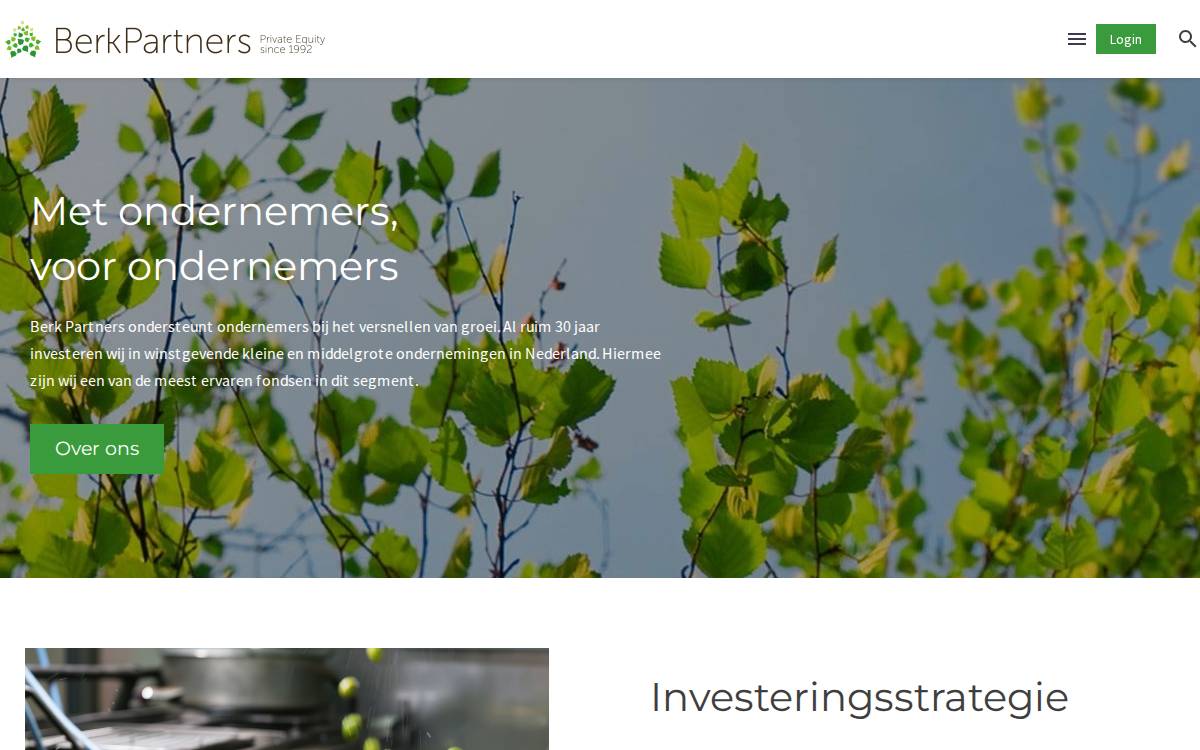 Berk Partners website preview