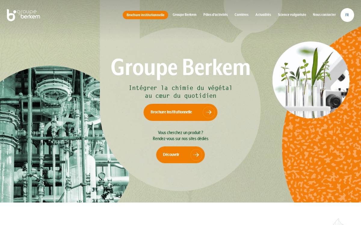 Berkem website preview
