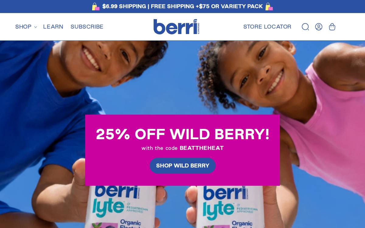 Berripro website preview