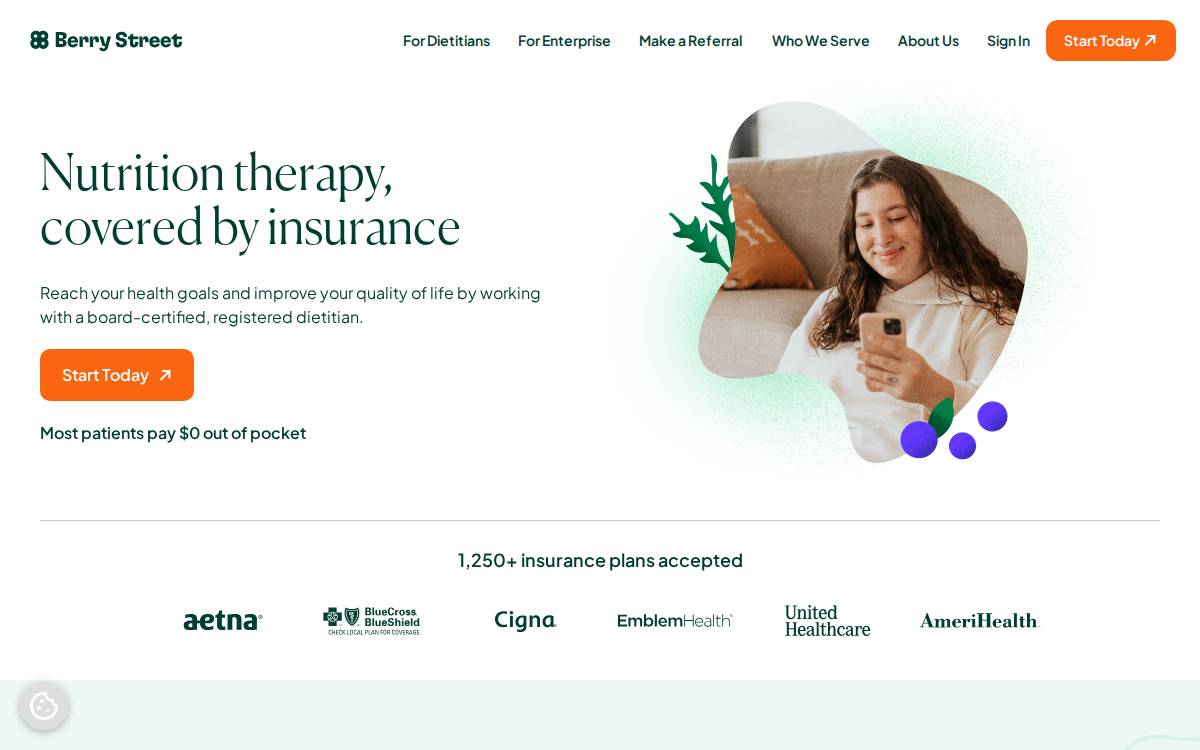Berry Street website preview