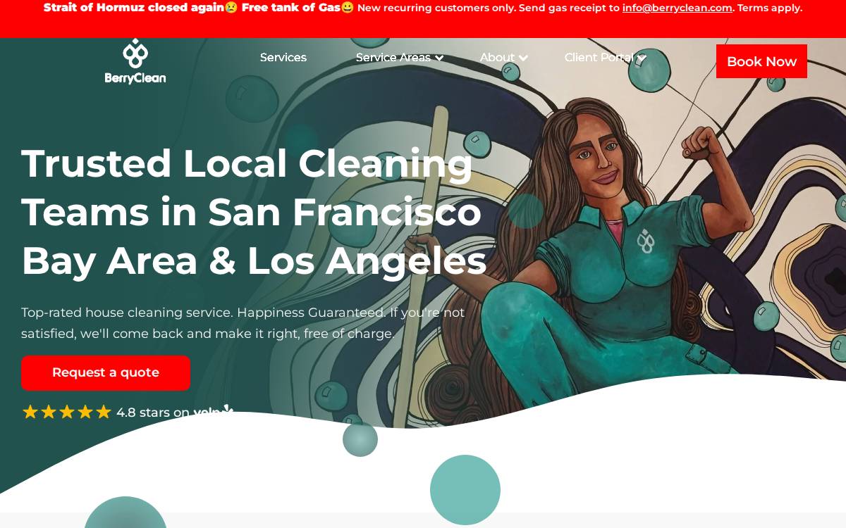 Berryclean website preview