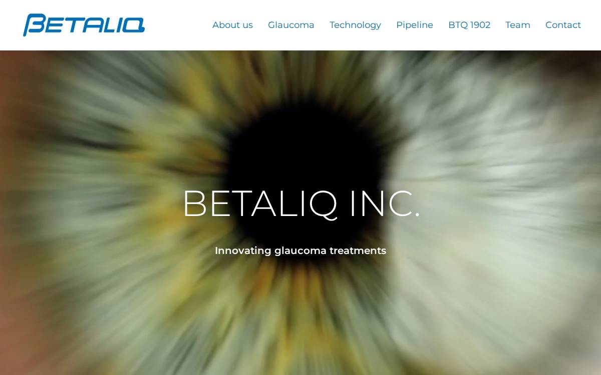 Betaliq website preview