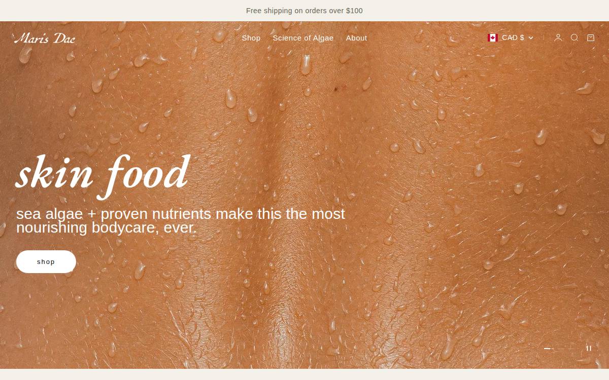 Better Basics website preview