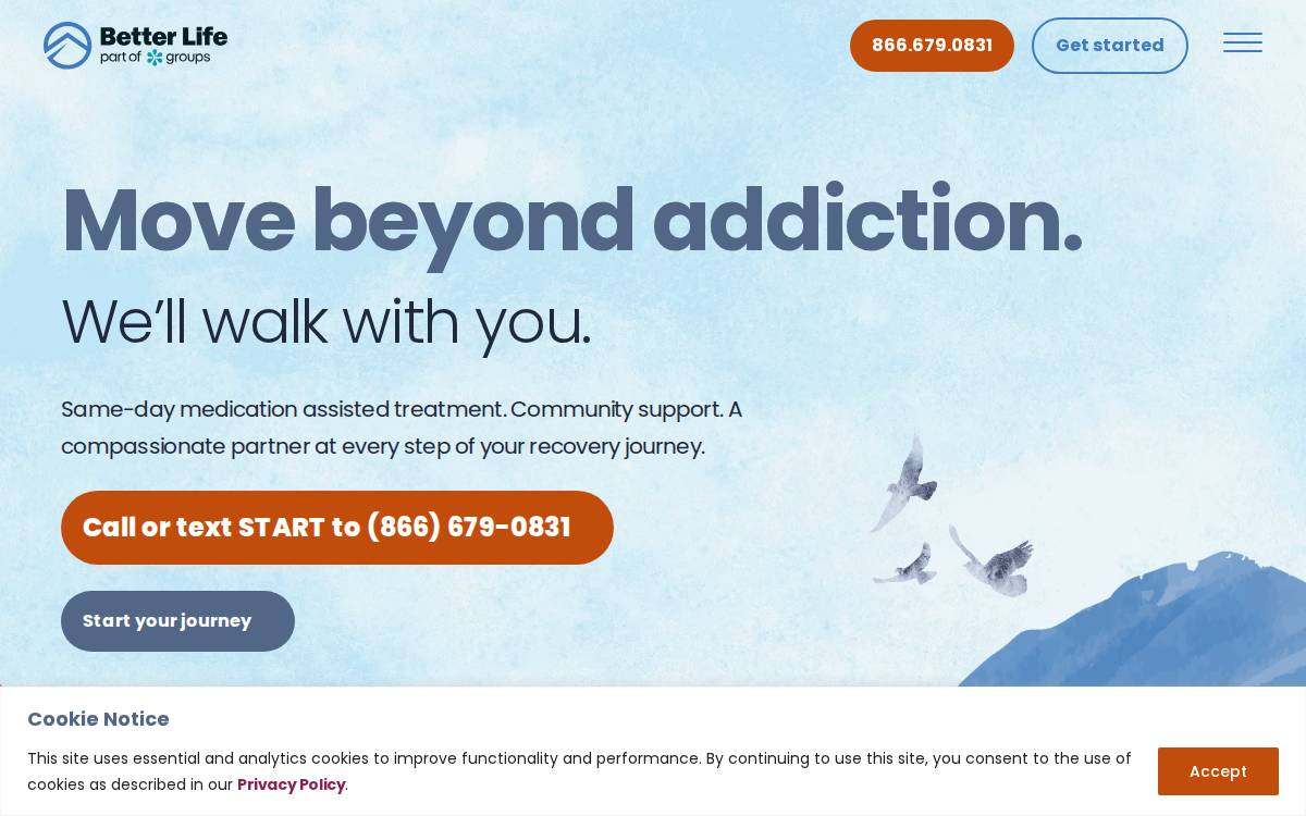 Better Life Partners website preview