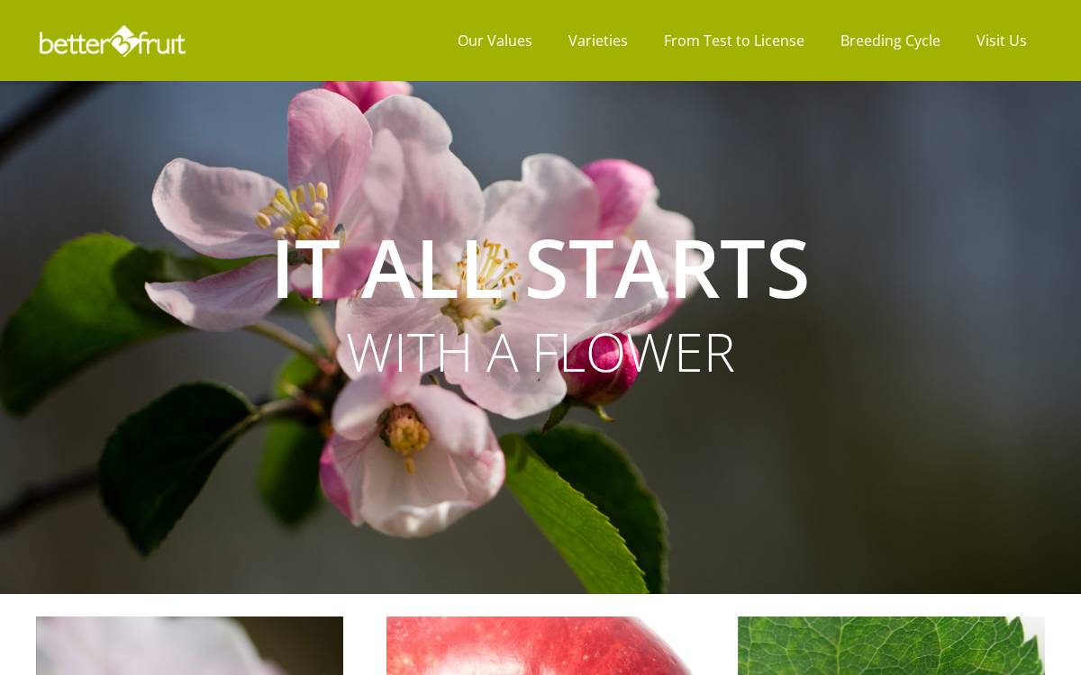 Better3fruit website preview